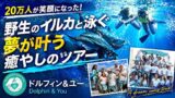 【体験記】ハワイのドルフィンアンドユー｜イルカツアーの感想・注意点のYouTubeサムネイル
