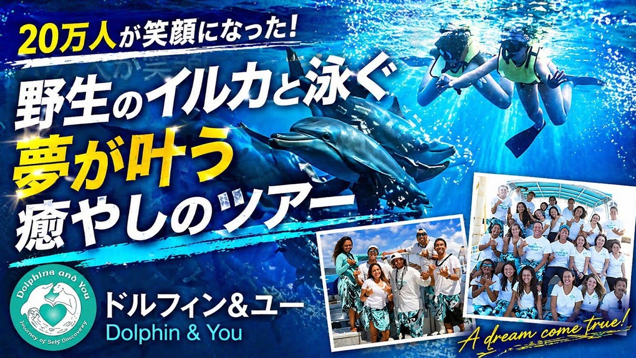 【体験記】ハワイのドルフィンアンドユー｜イルカツアーの感想・注意点のYouTubeサムネイル