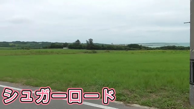 小浜島のサトウキビ畑の間を通るシュガーロード