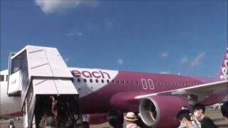成田空港で搭乗したピーチの機体