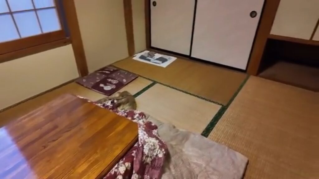 民宿やま久で宿泊した畳の和室